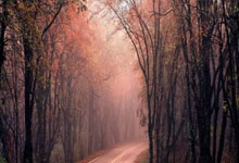 J9九游会官网:西媒:库尔图瓦因膝盖伤势,出战与阿森纳的欧冠淘汰赛仍存疑问.