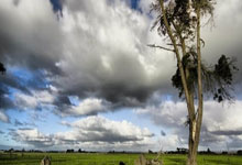 法尔克:曼联和曼城对西蒙斯有意,7000万欧报价能打动莱比锡放人.