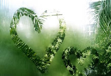 高清图:苏神大吼拥梅西跳蚤眯眼竖大拇指卖萌.