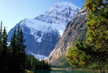 布伦森尼克斯生涯17次斩获40+!与安东尼并列队史第三NBA官网.