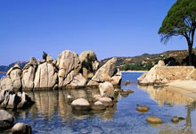 J9九游会官网:加布里埃即将接受手术,错过对皇马的比赛以及赛季剩余所有赛事.